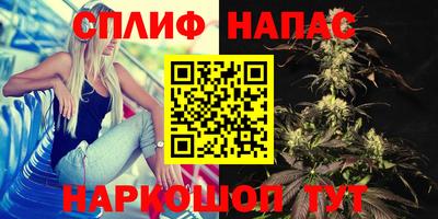 ПСИЛОЦИБИНОВЫЕ ГРИБЫ Дубна