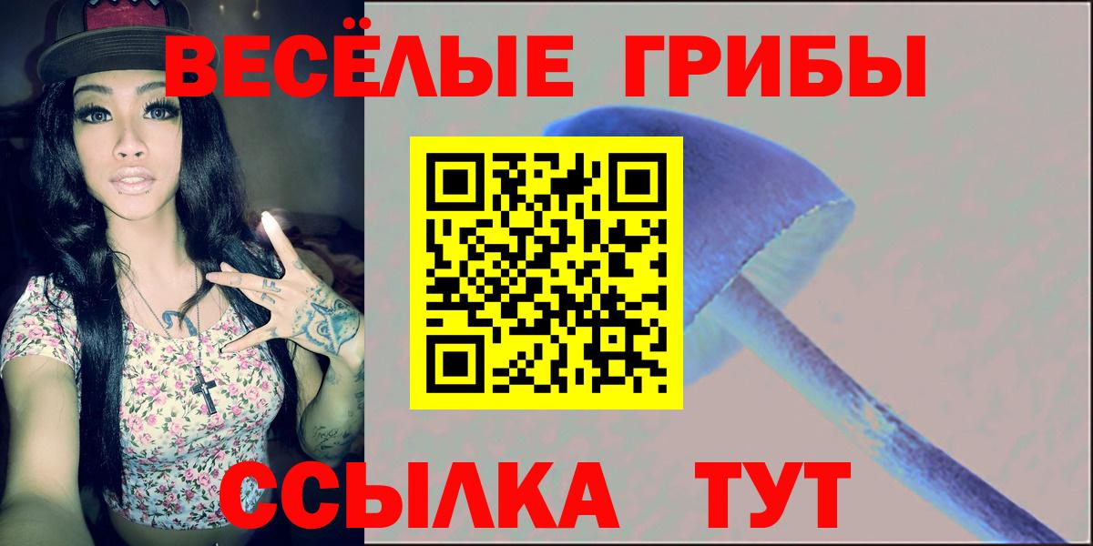 Псилоцибиновые грибы GOLDEN TEACHER  Вход с VPN  Мыски 