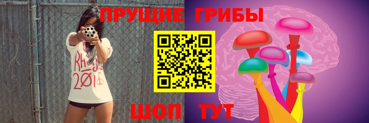 Псилоцибиновые грибы Psilocybine cubensis Мыски